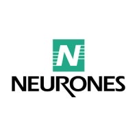 Neurones IT